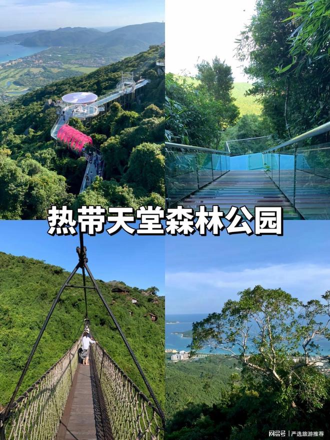 玩无坑+高性价比解锁你的海岛度假新体验九游会网址是多少三亚导游深度推荐：纯(图4)