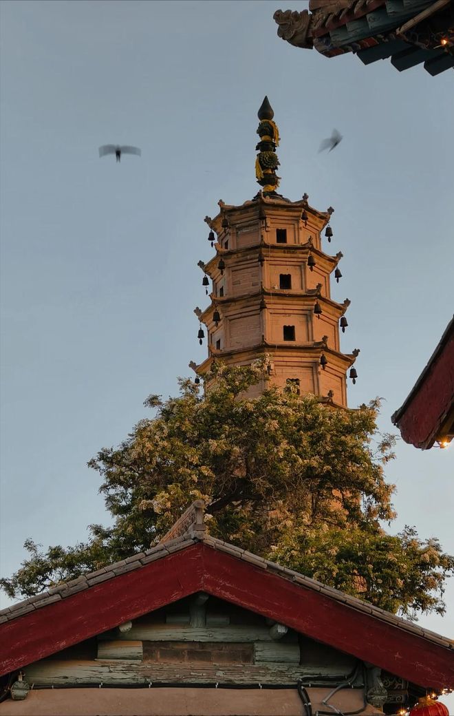 游团攻略9日游畅游甘南秘境享高端玩法j9九游会登录甘南9天8晚私人定制旅(图4)