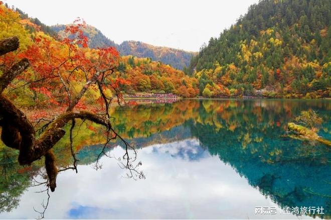 成都定制游公司 TOP8｜路线%j9九游会登录「10 月更新」(图5)