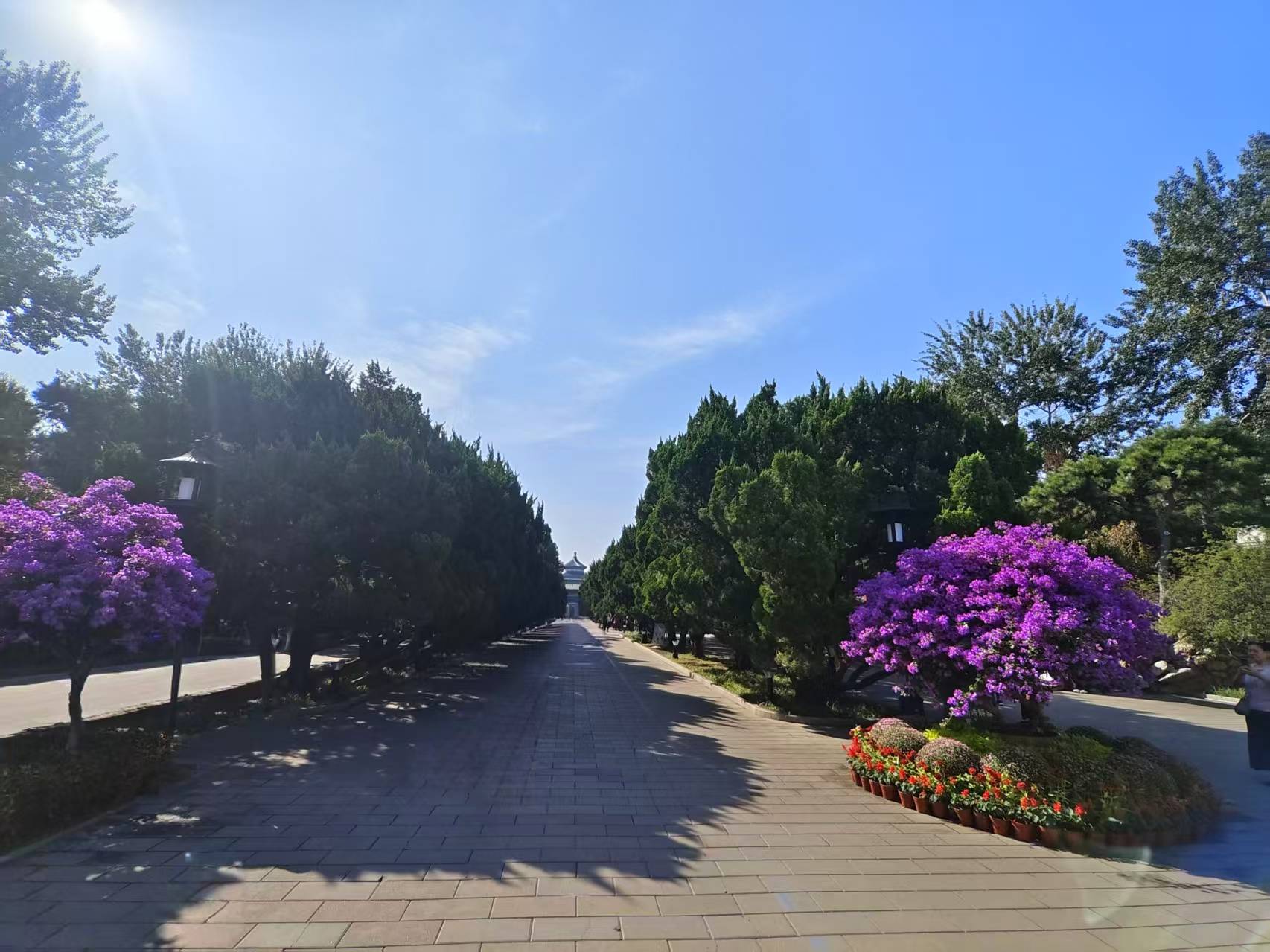 ：2025定制游选对机构少花冤枉钱j9九游会登录北京私人定制旅行社(图1)