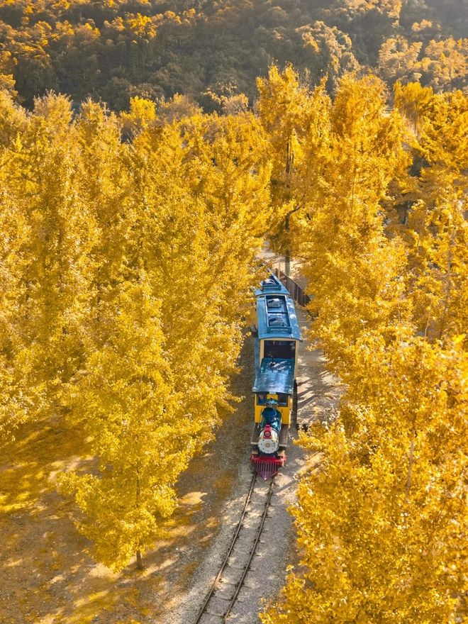 云南8日腾冲瑞丽芒市边境深度游人均费用明细j9九游真人游戏第一平台高端小团新体验